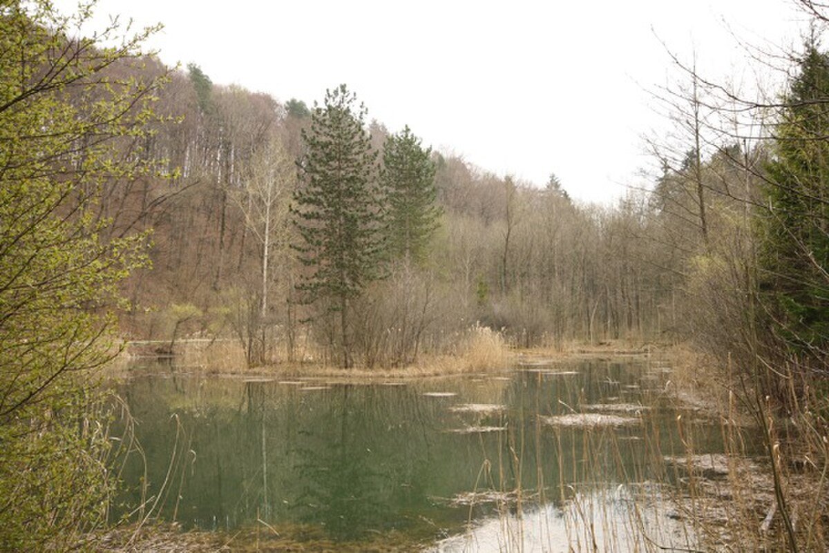 Franzosenweiher