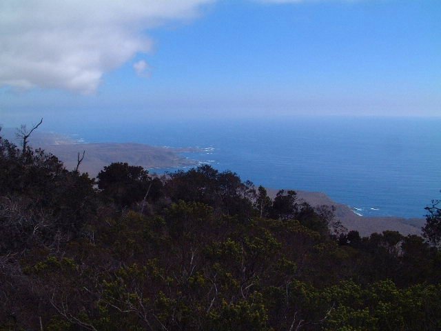 Bosque Fray Jorge National Park