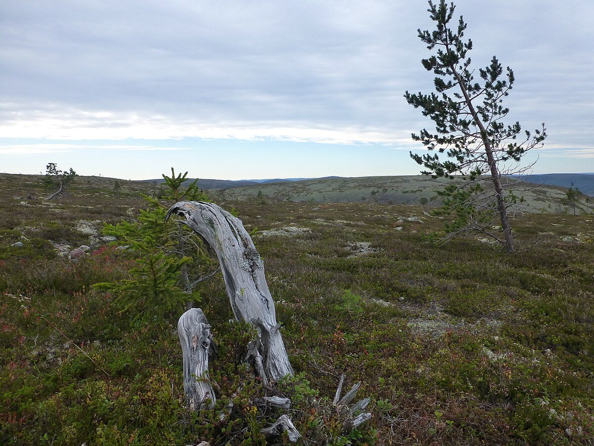 Fulufjellet National Park