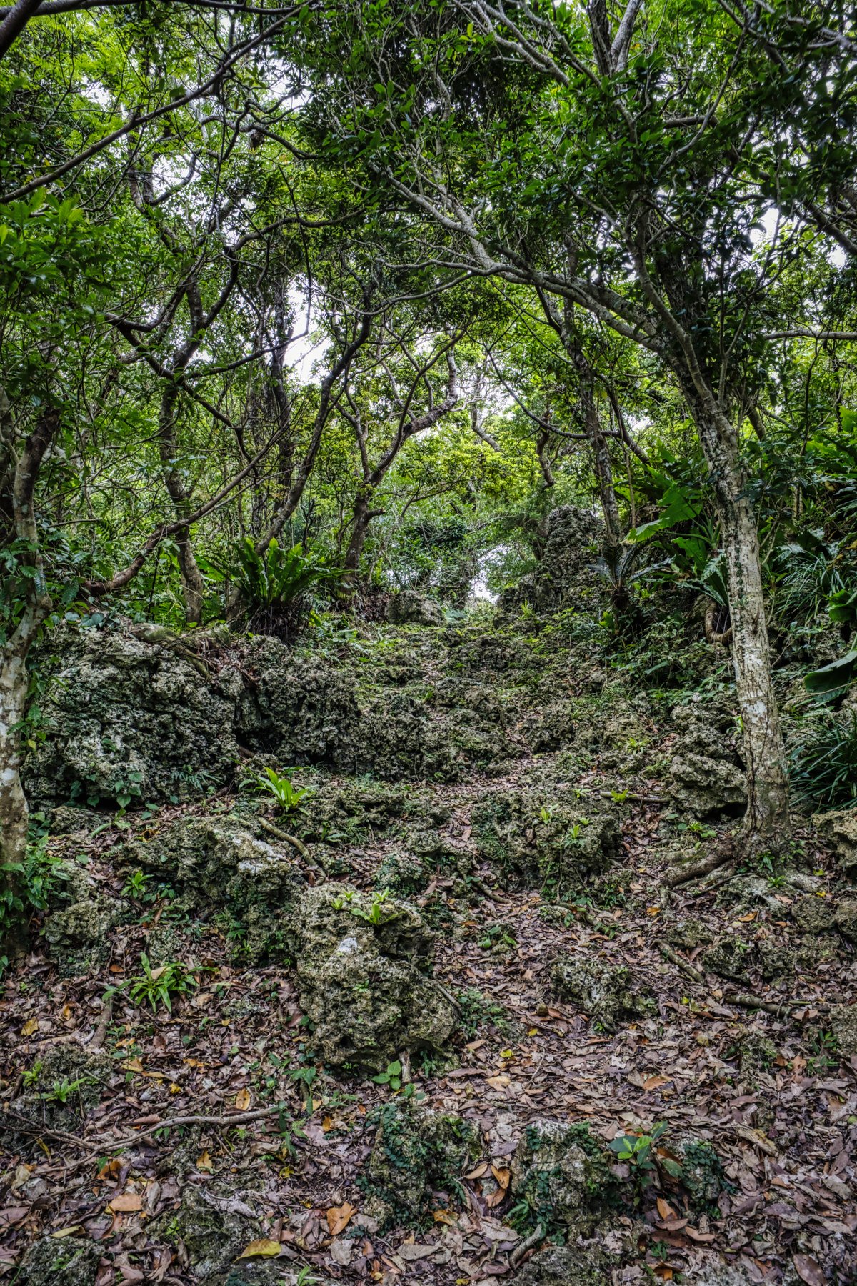 Kakinohana Castle