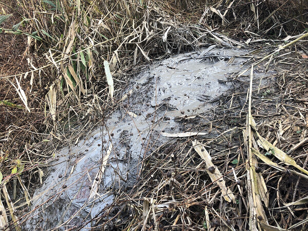 Gamou mud volcano