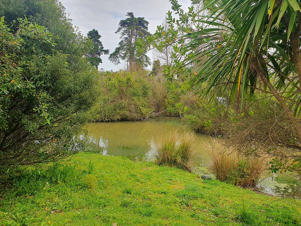 Glendale Road Stormwater Pond