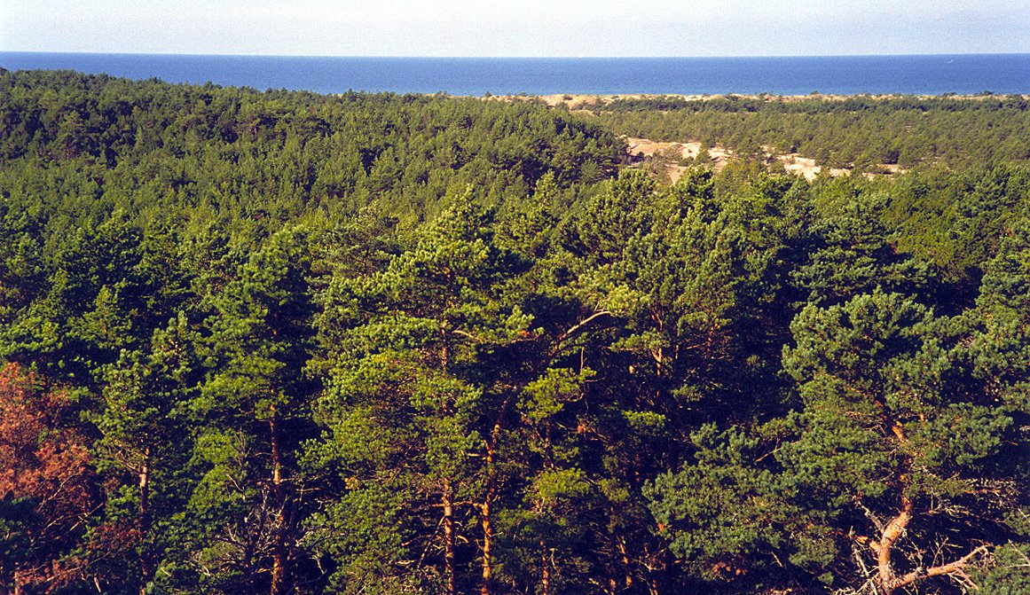 Gotska Sandön National Park