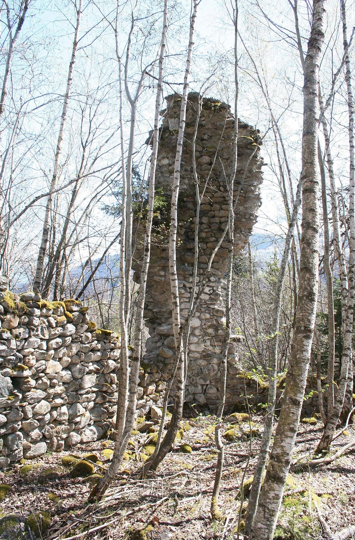 Burg Grünenfels