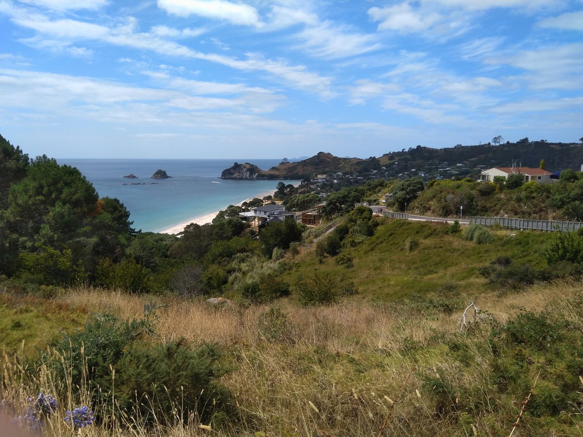 Hahei Beach