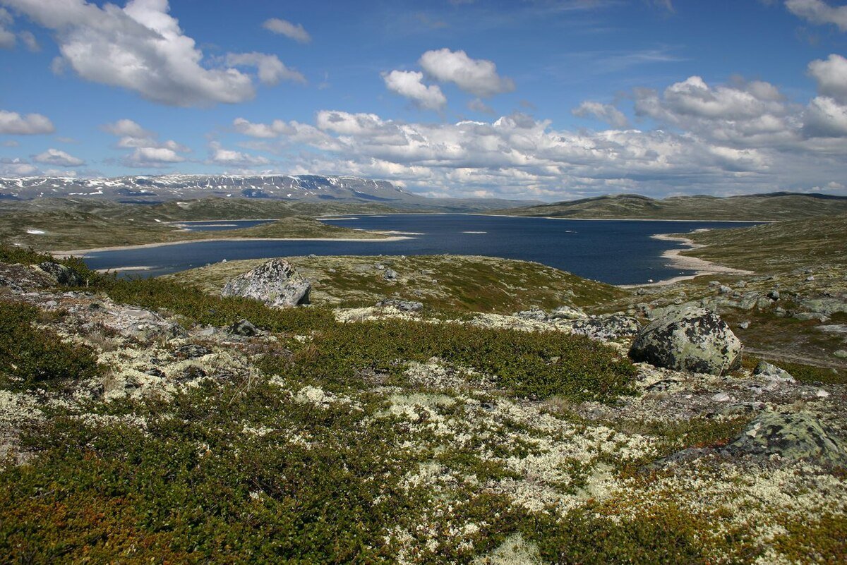 Hardangervidda National Park
