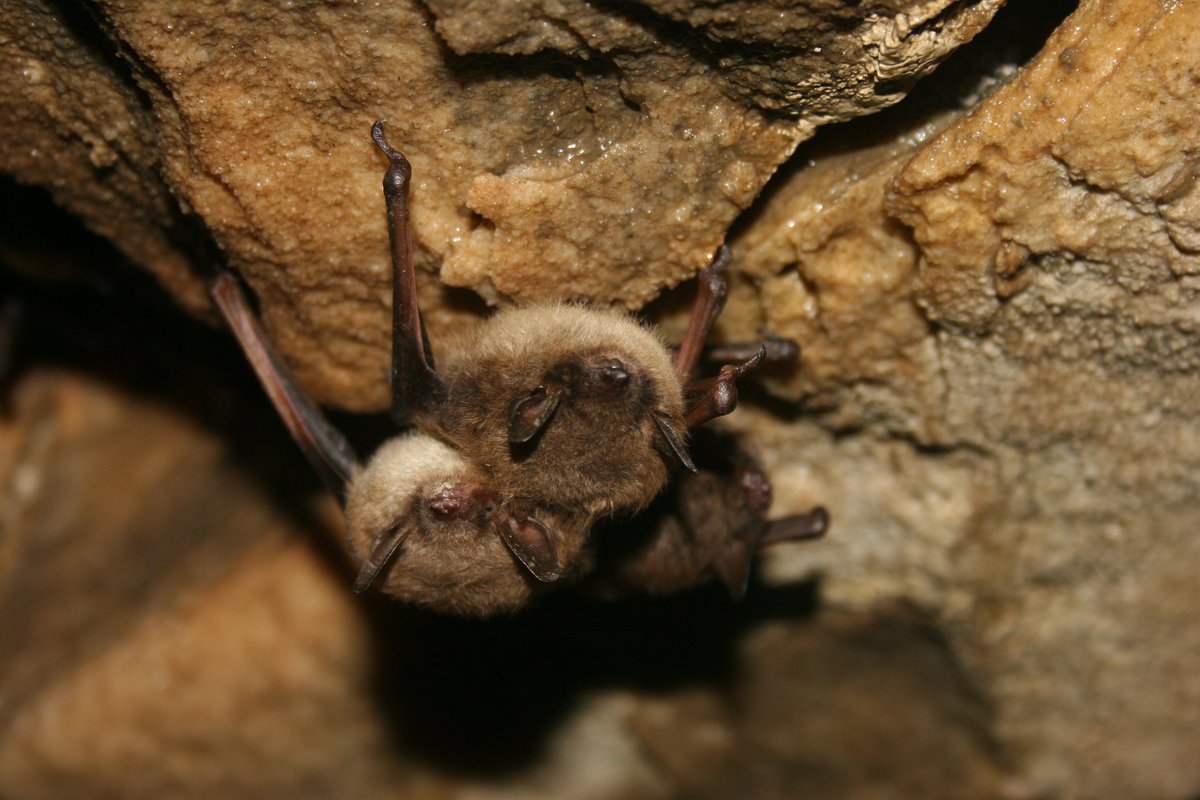 Aeolus Cave