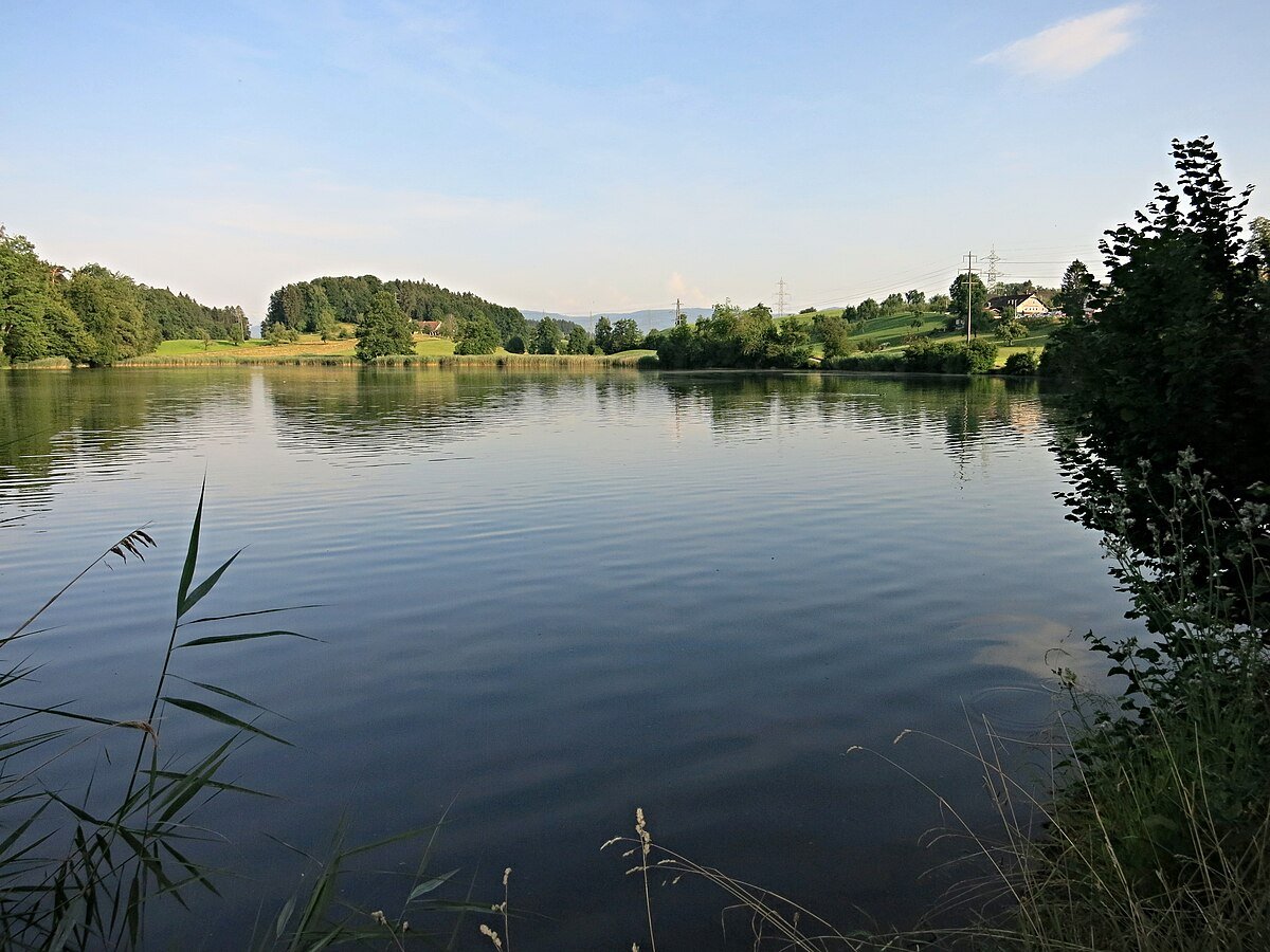 Horgener Bergweiher