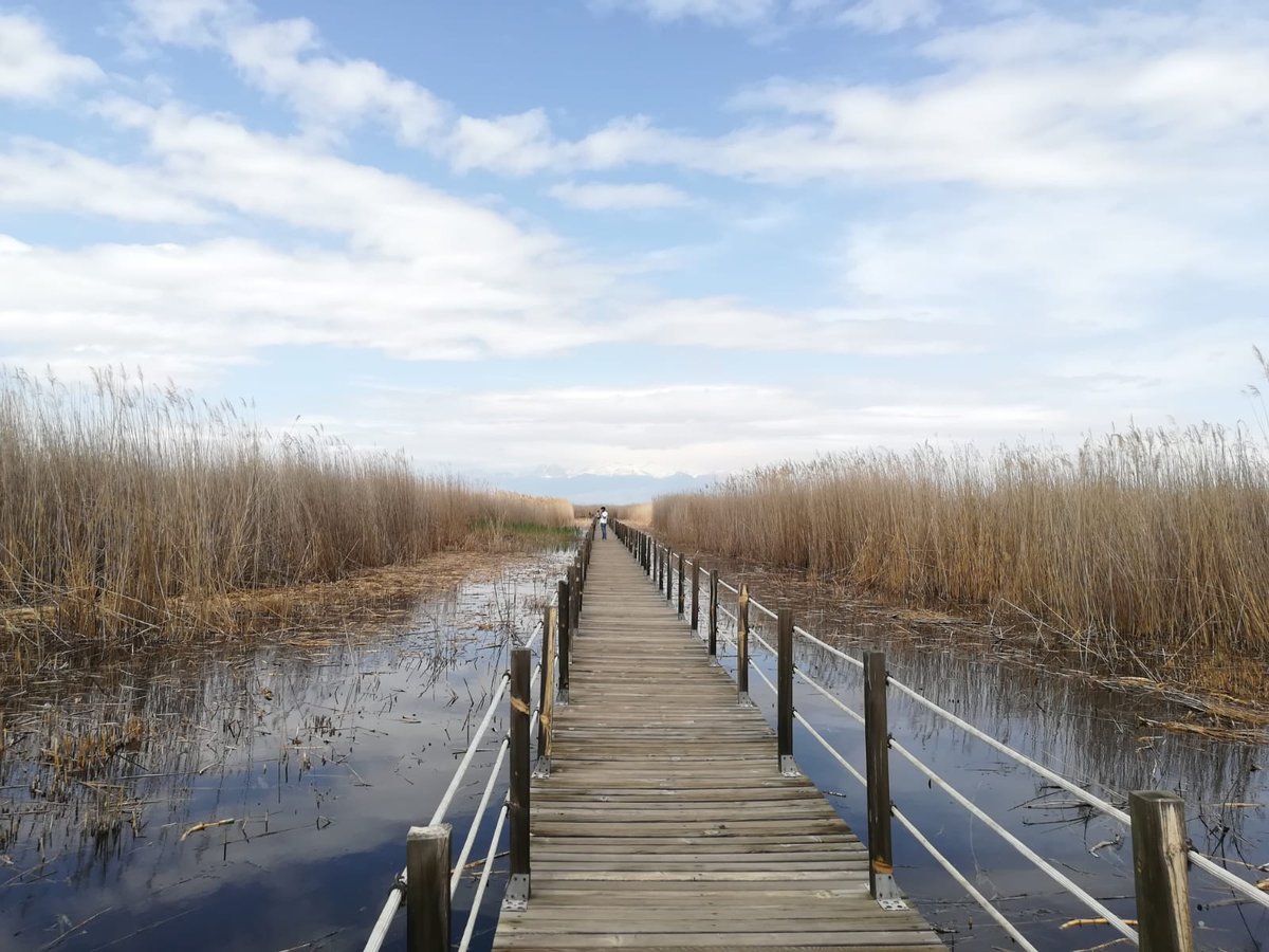 Sultan Reedy National Park