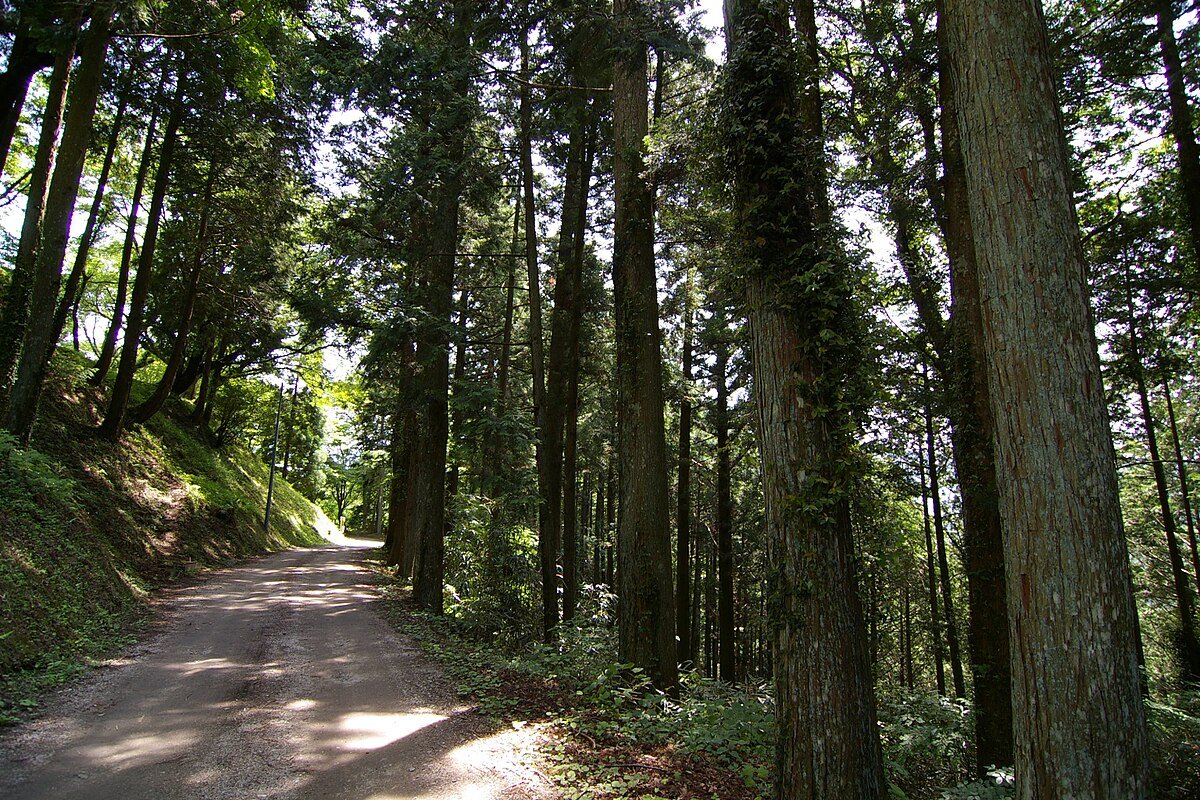 Iwamura Castle