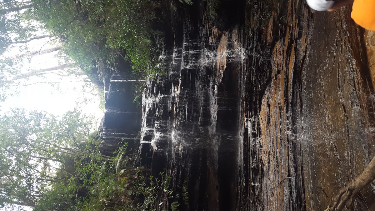 Junction Falls