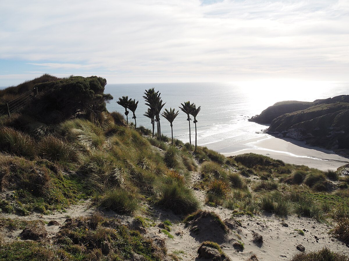 Kaihoka Beach