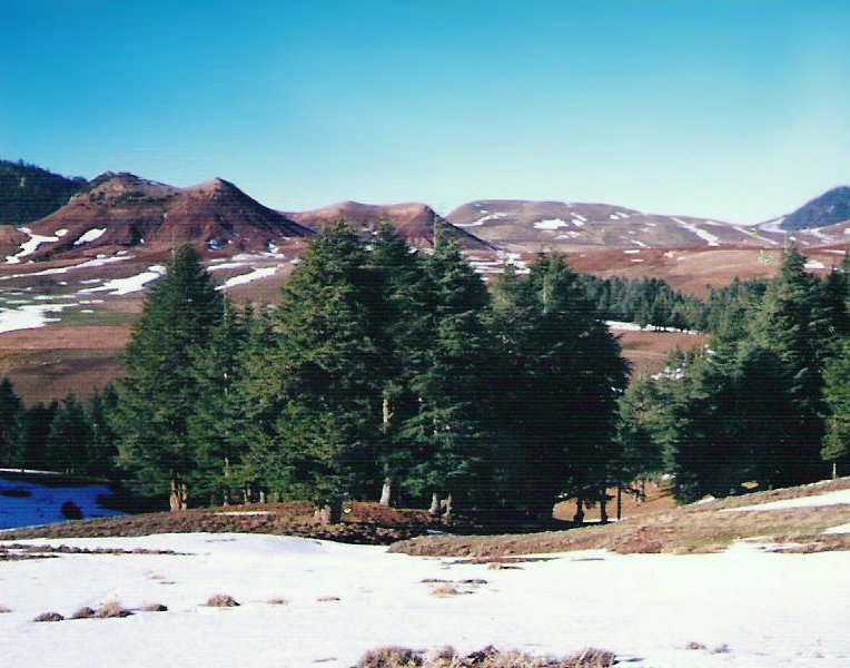 Khenifra National Park