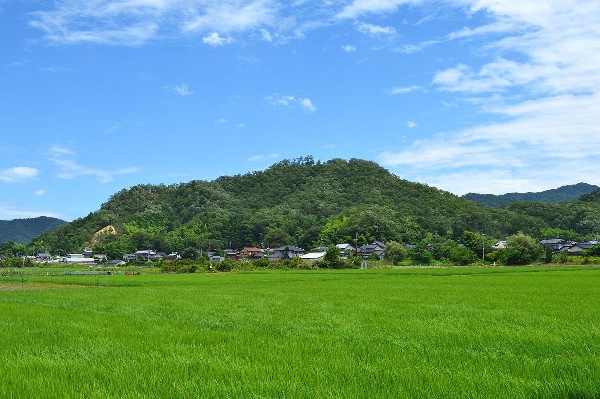 Konosumiyama Castle