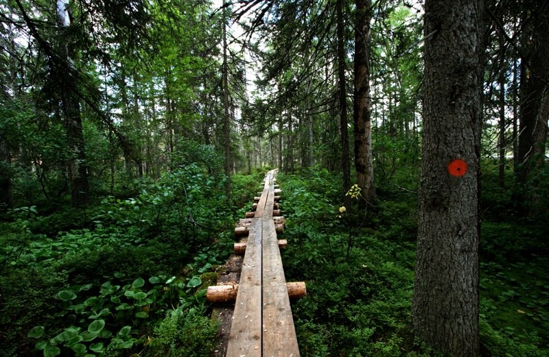 Petkeljärvi National Park