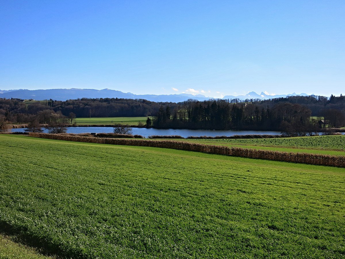Lac de Seedorf