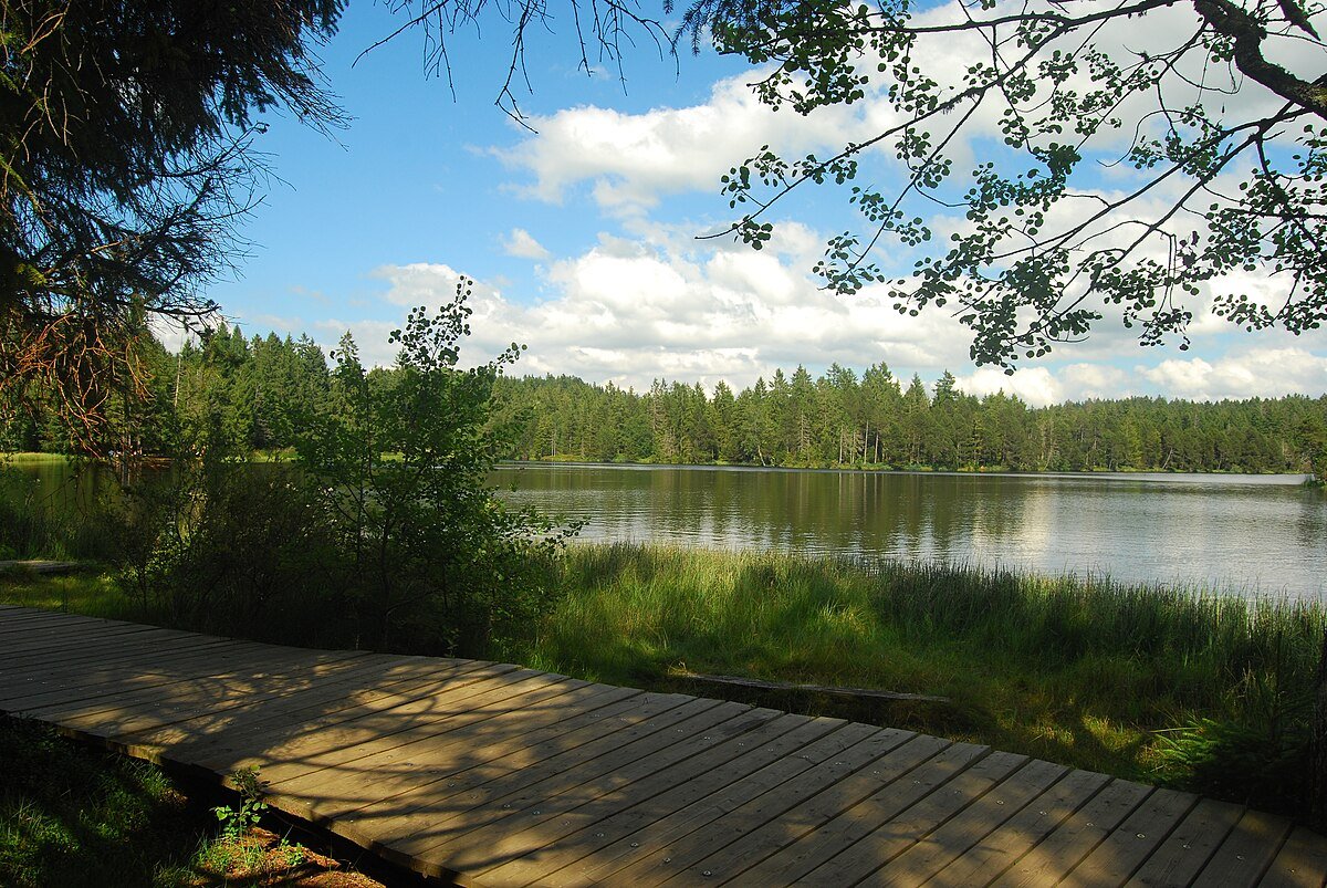 Etang de la Gruère