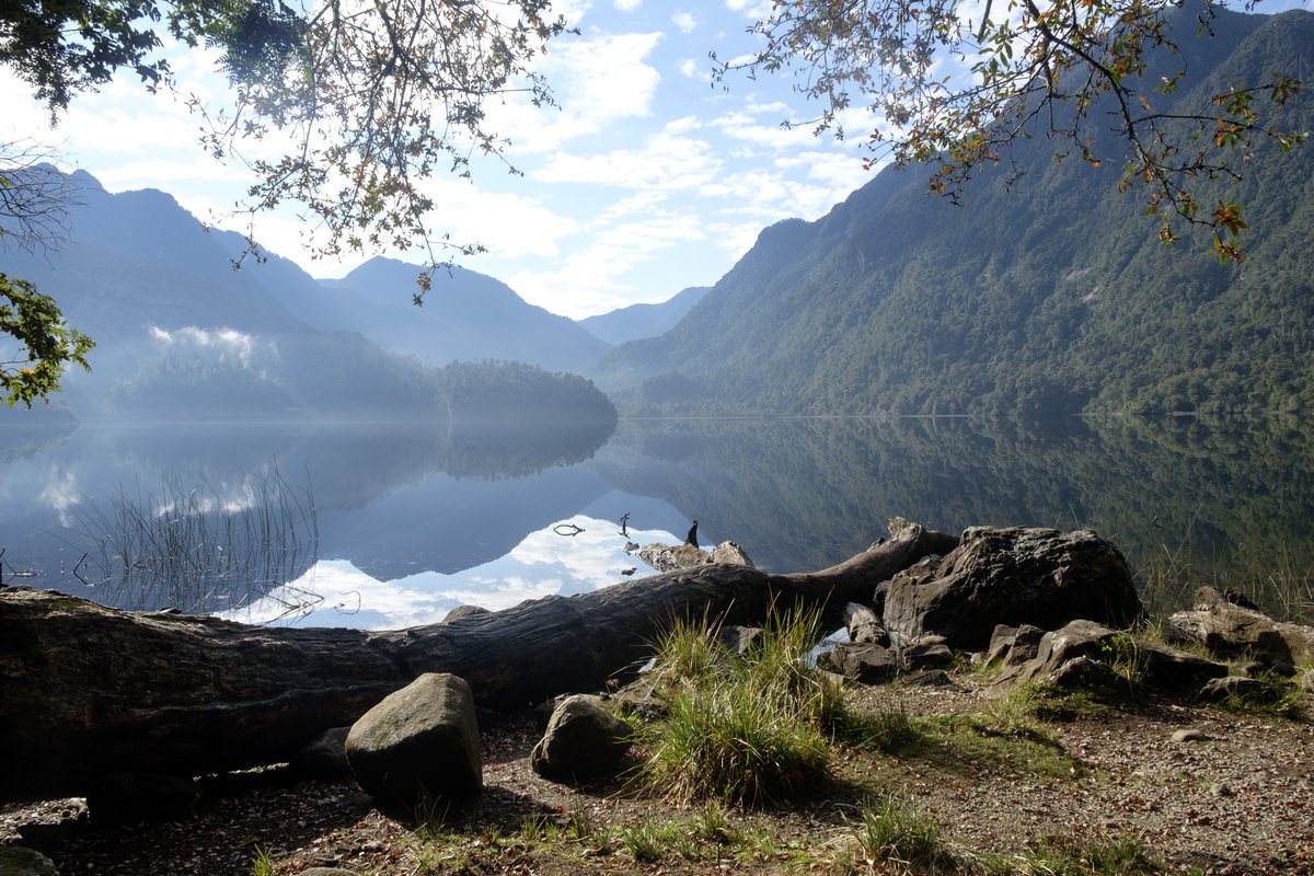 Alerce Andino National Park