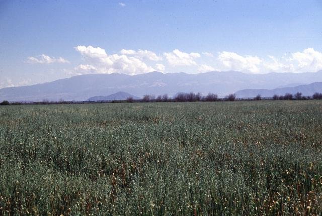 Las Cumbres