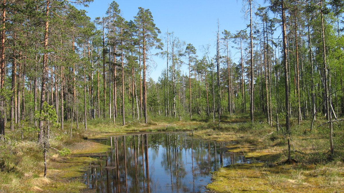 Lauhanvuori National Park