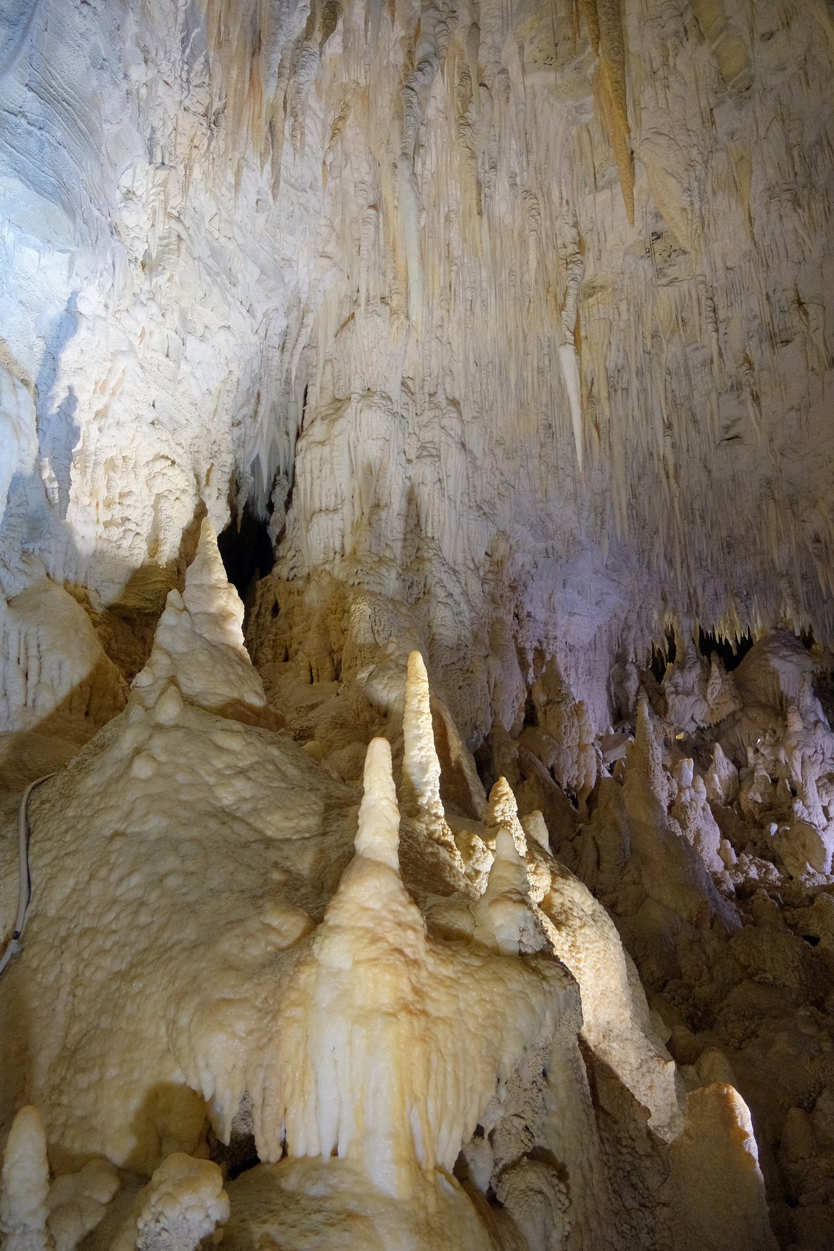 Ruakuri Cave