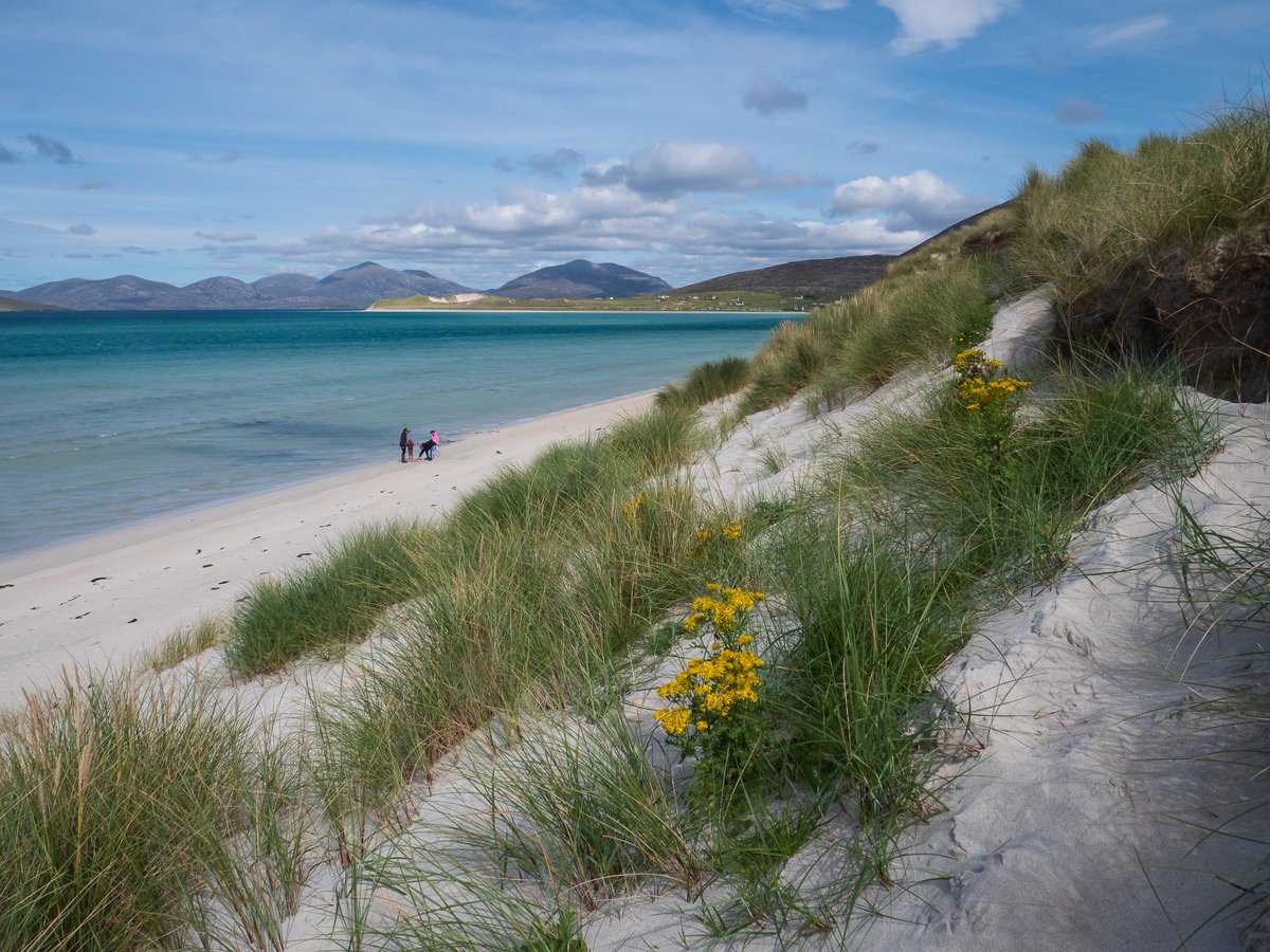 Luskentyre beach