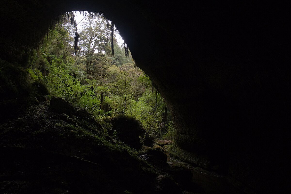 Metro Cave / Te Ananui Cave