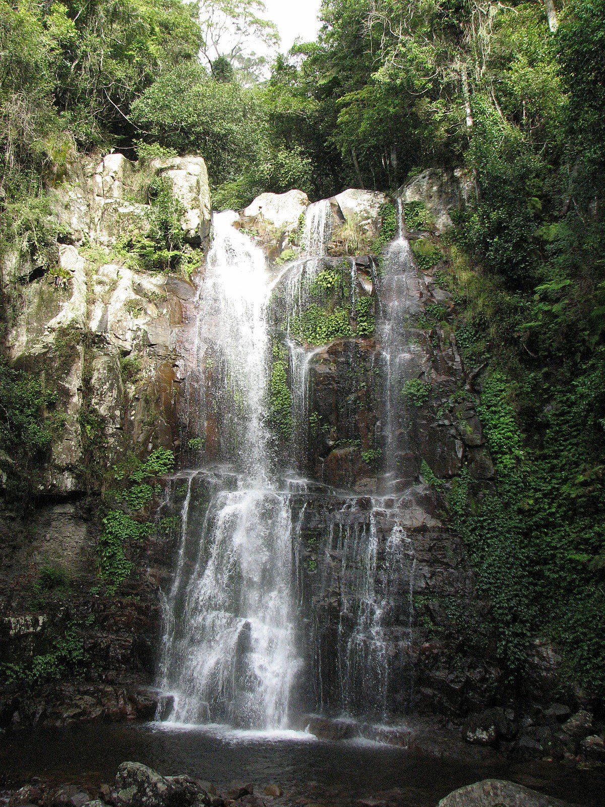 Minnamurra Falls