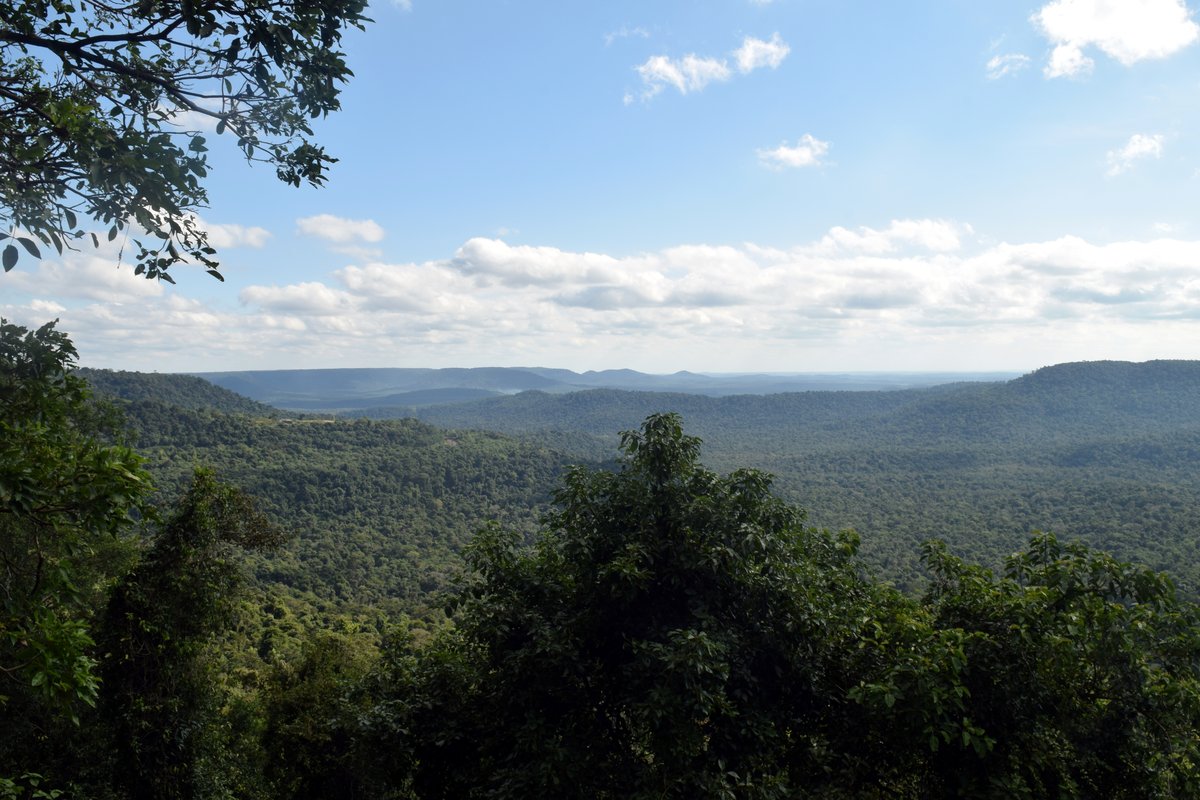 Salto Alto