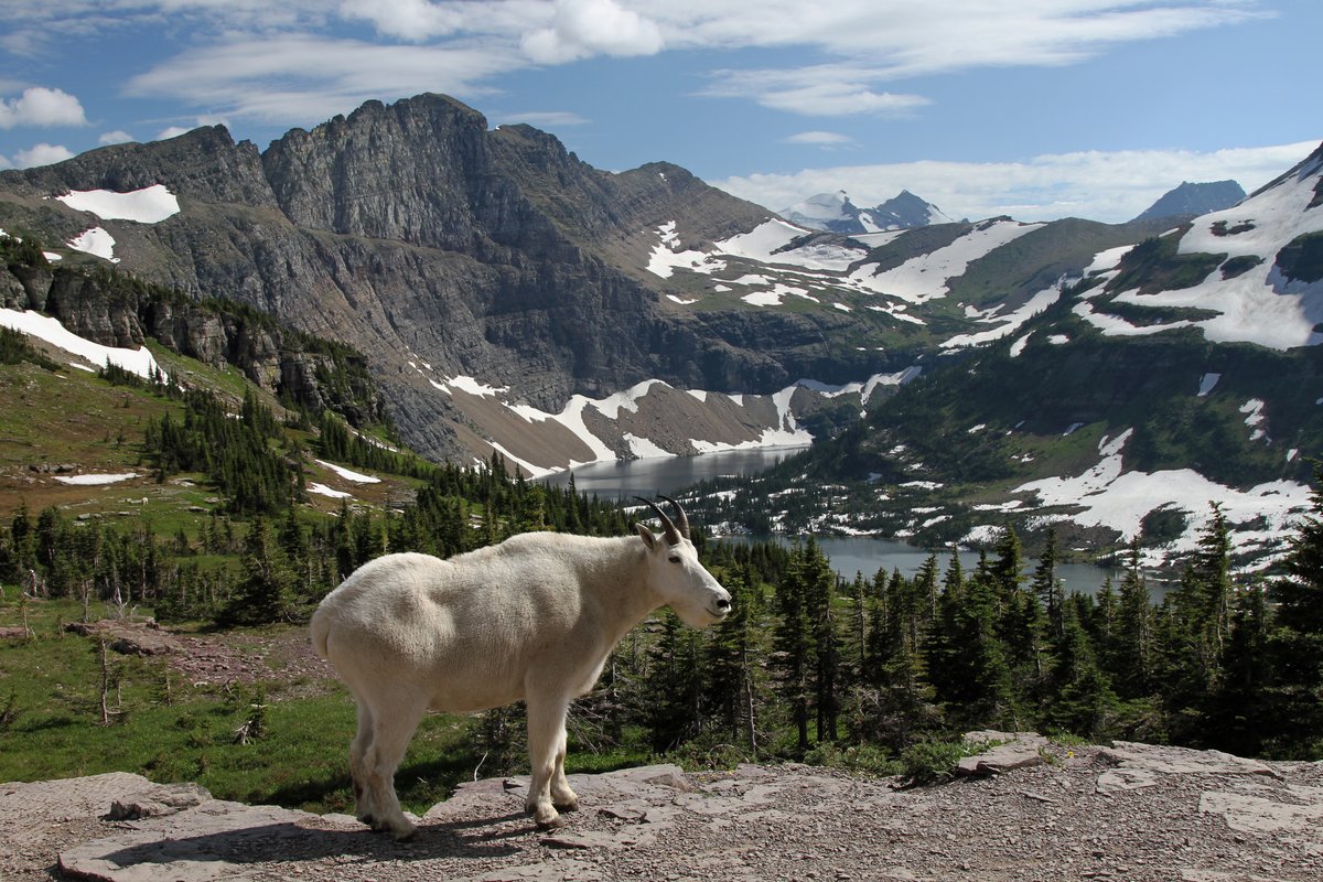 Anniversary Glacier