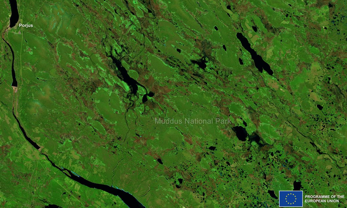 Muddus National Park