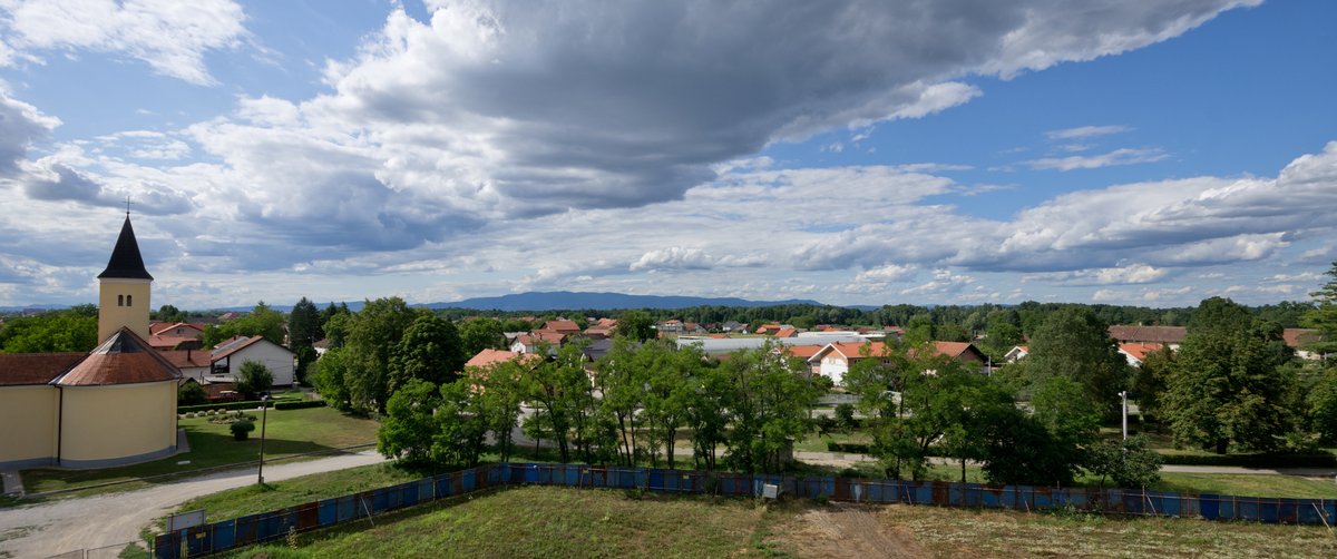 Čiče