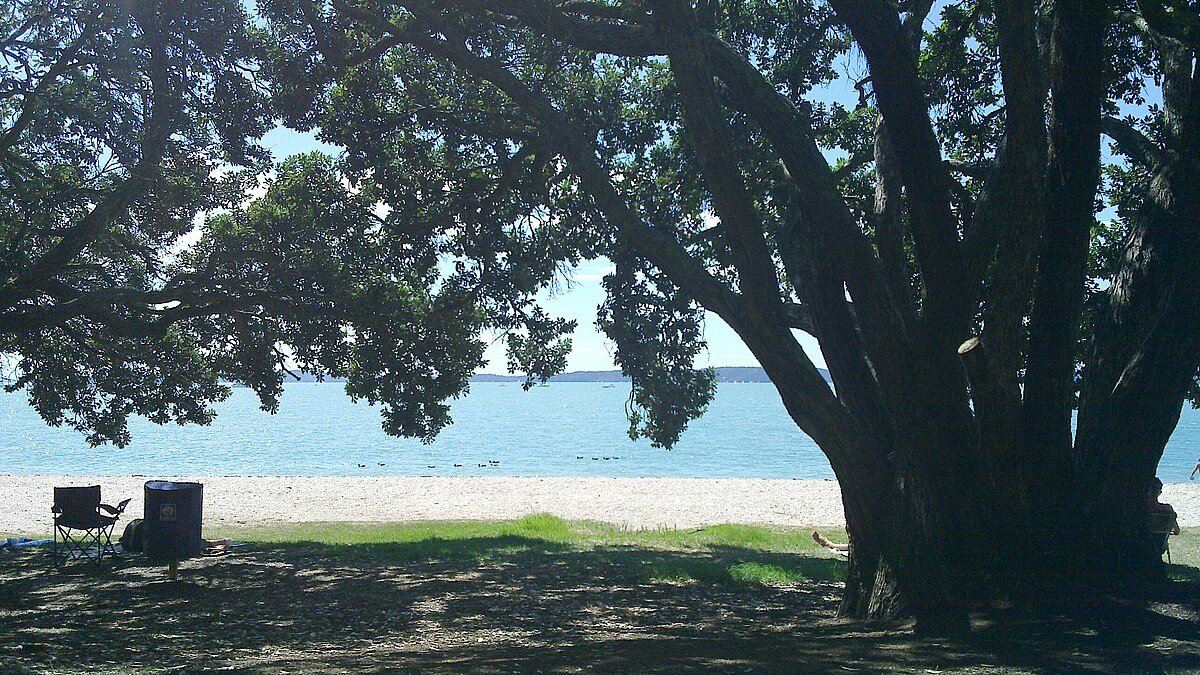 Ohinerangi Beach