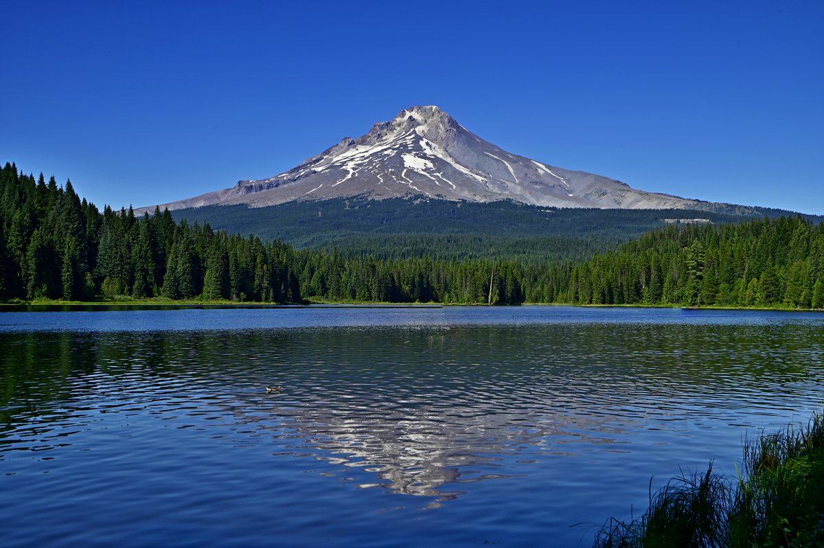 Mount Hood