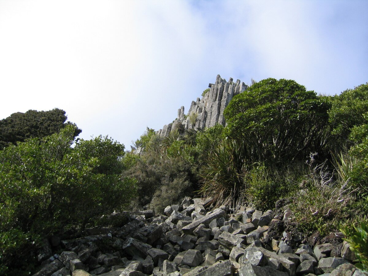 Dunedin Volcano
