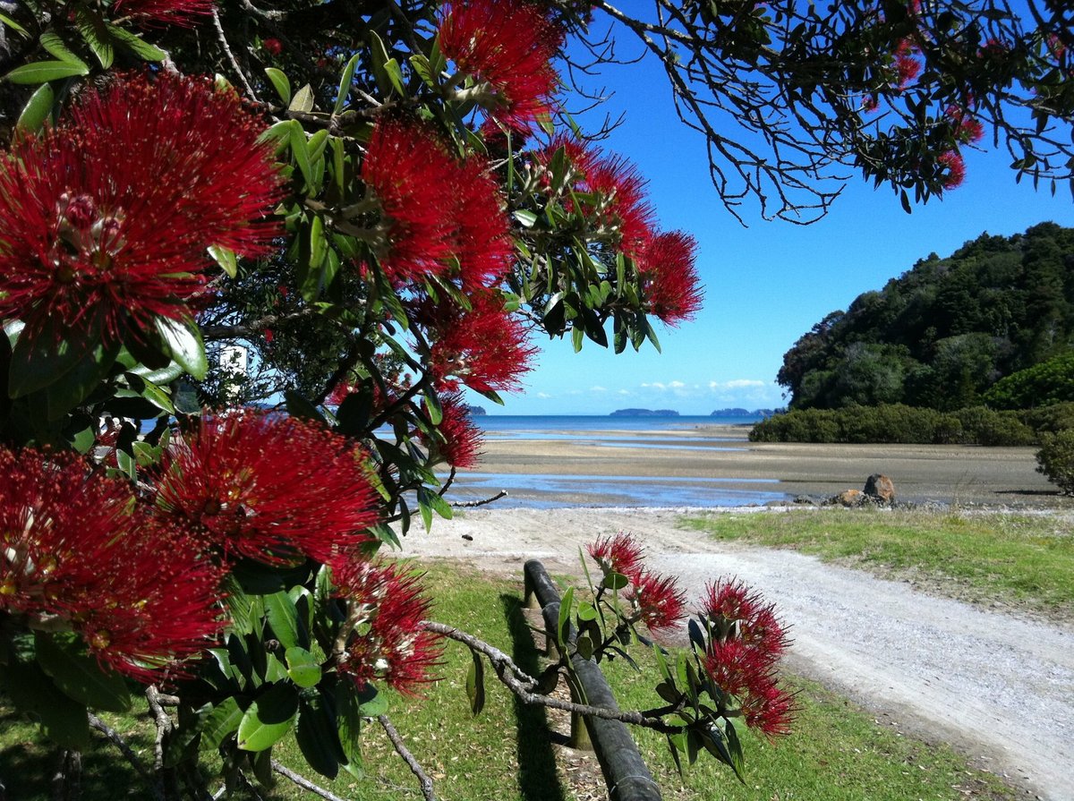 Campbells Beach