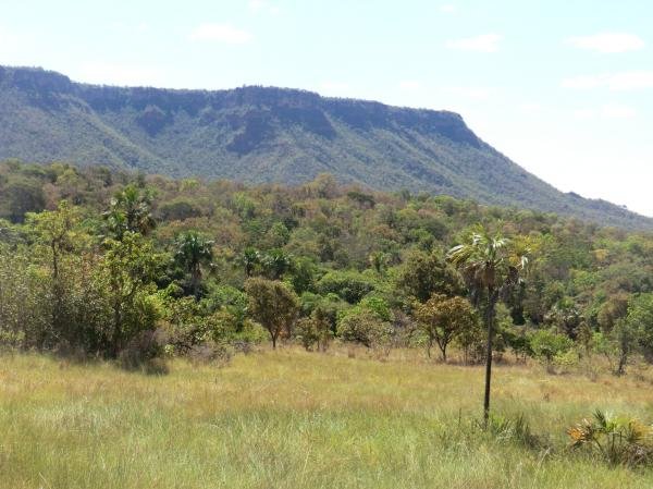 Nascentes do Rio Parnaíba National Park
