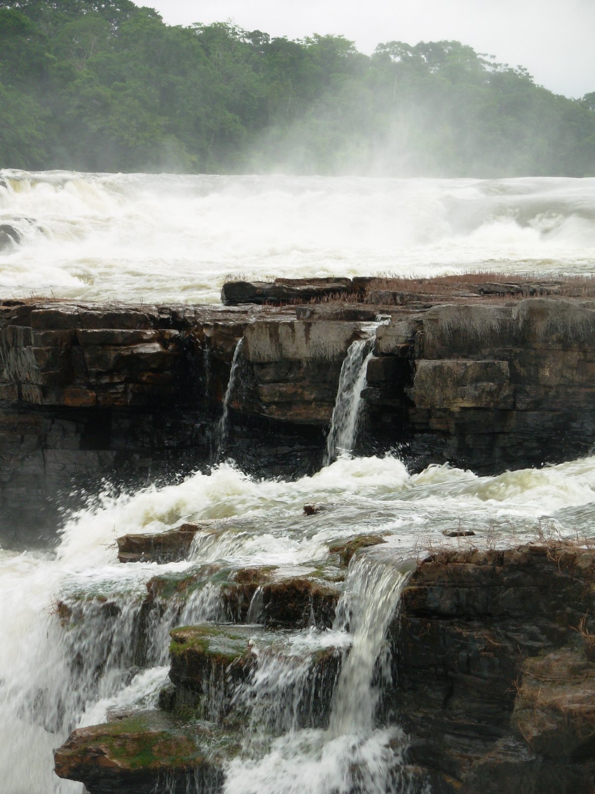 Juruena National Park
