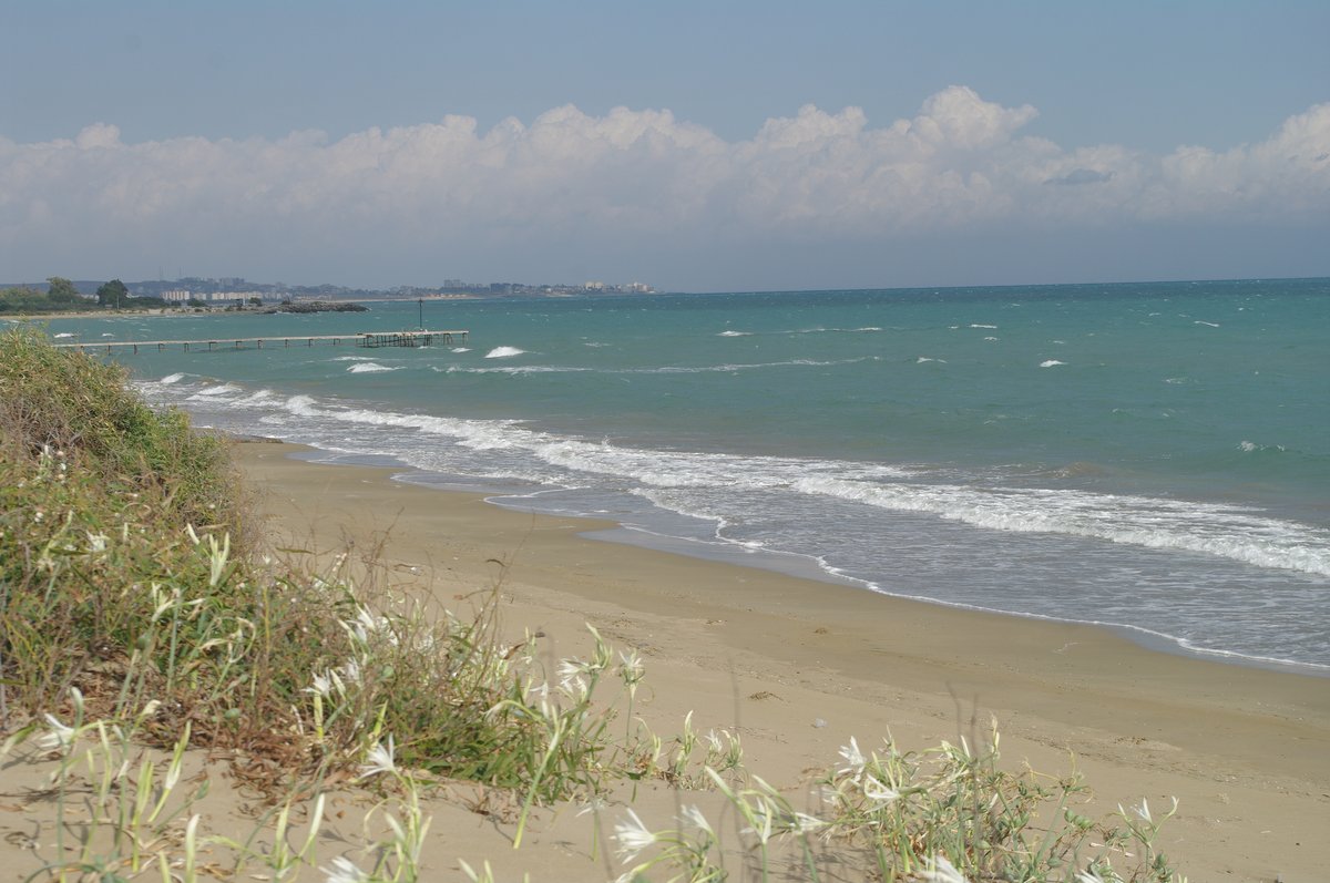 Yumurtalık Lagoon