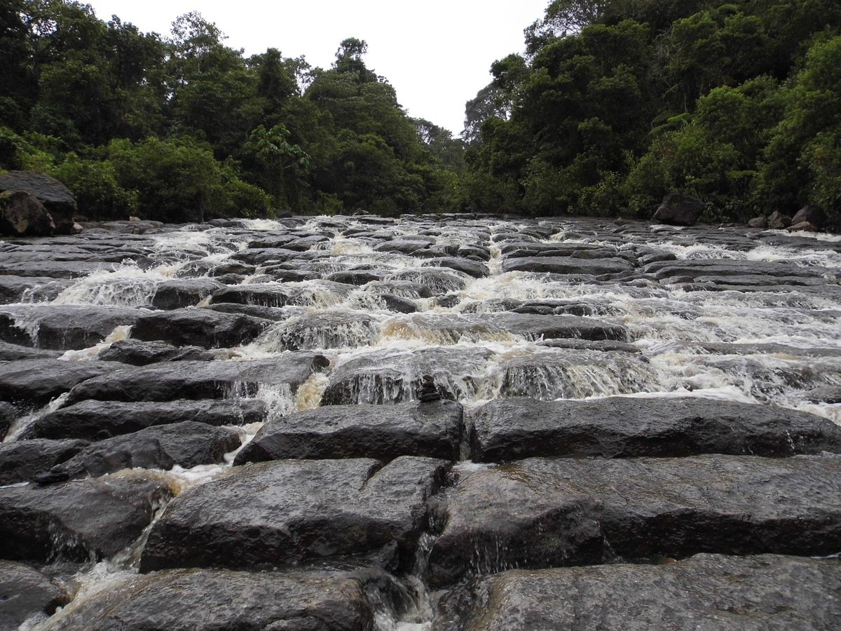 Cueva de Los Guacharos