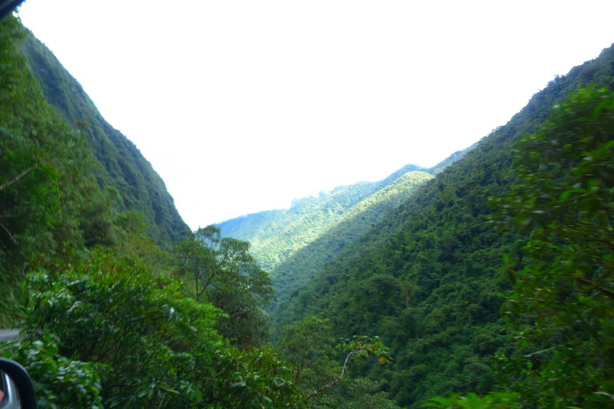 Yanachaga–Chemillén National Park