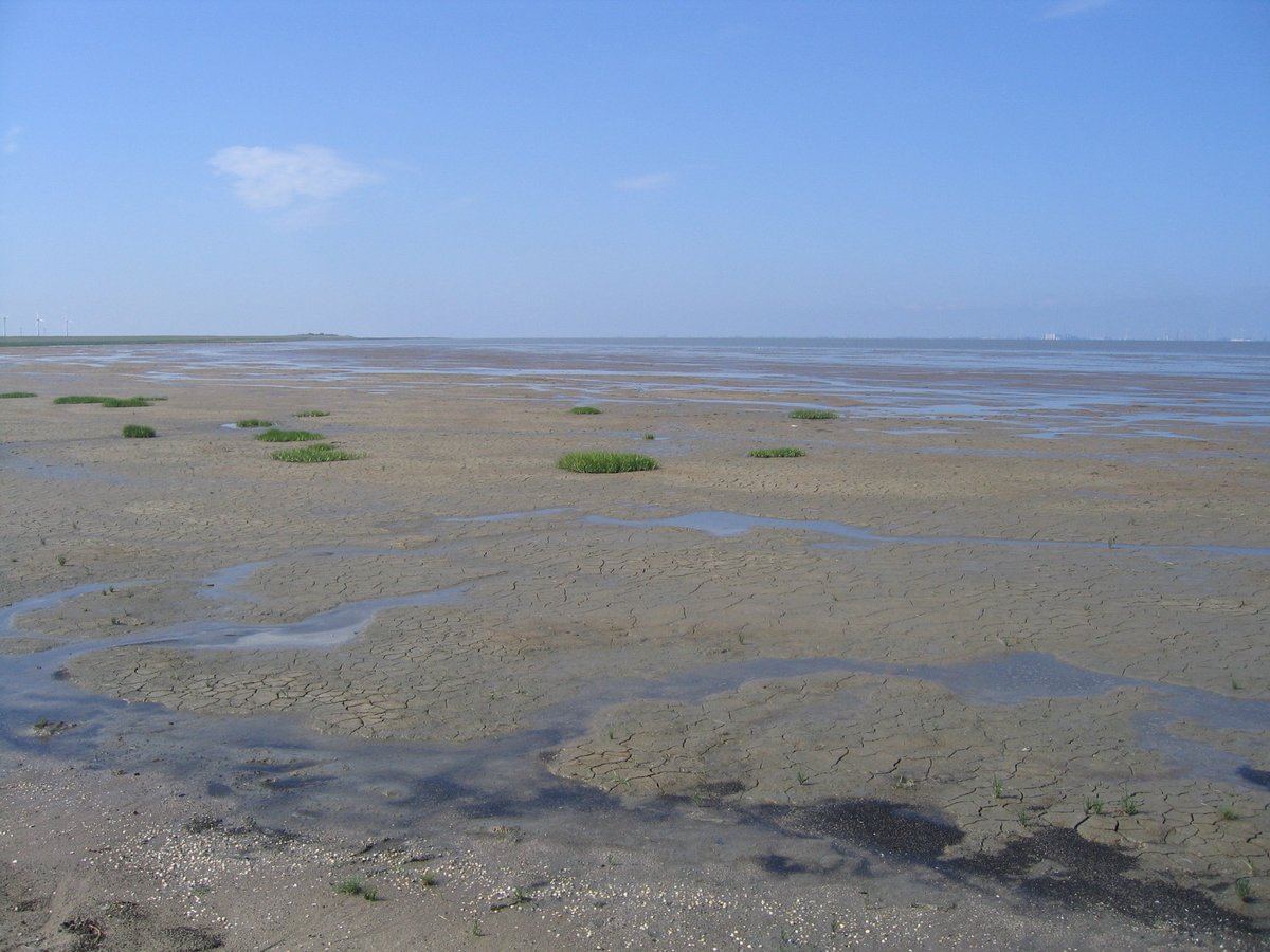 Lower Saxon Wadden Sea National Park