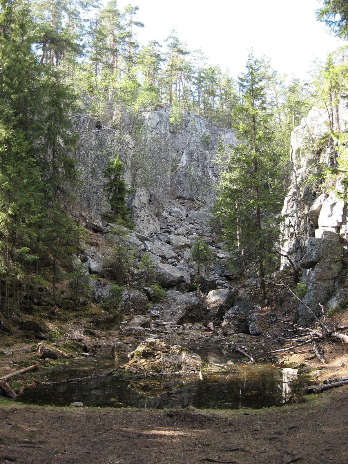 Pirunpesä
