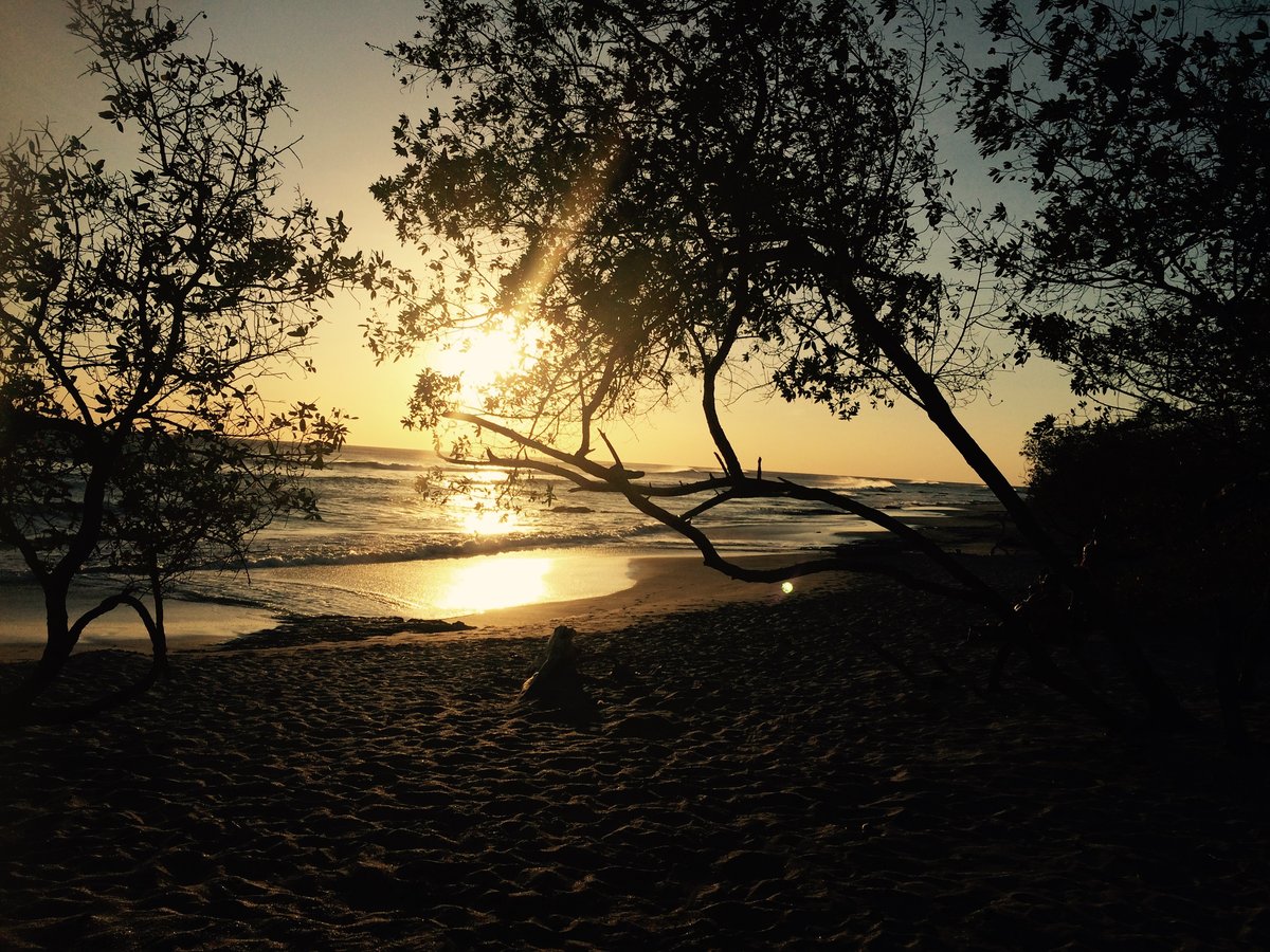 Playa Avellanas
