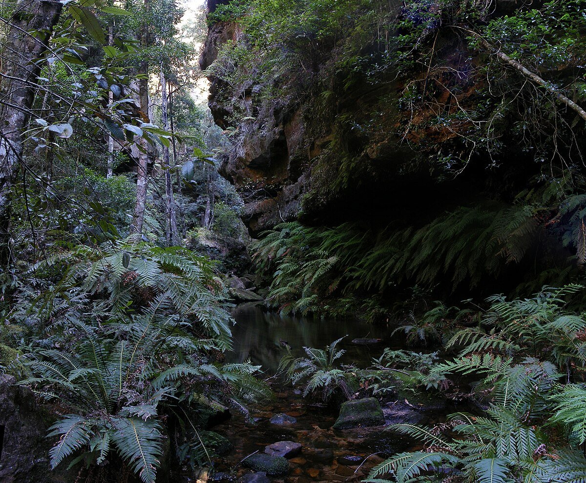 Blue Mountains National Park