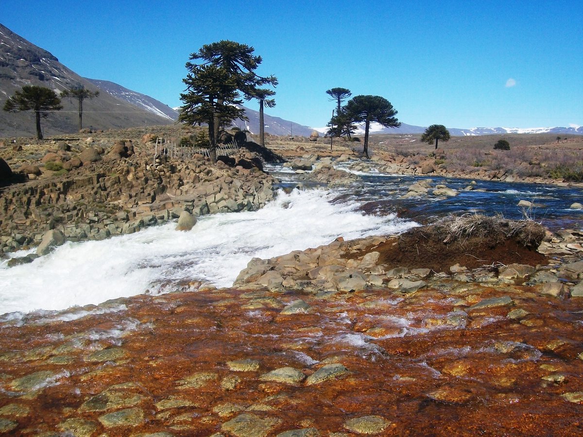 Salto del Agrio
