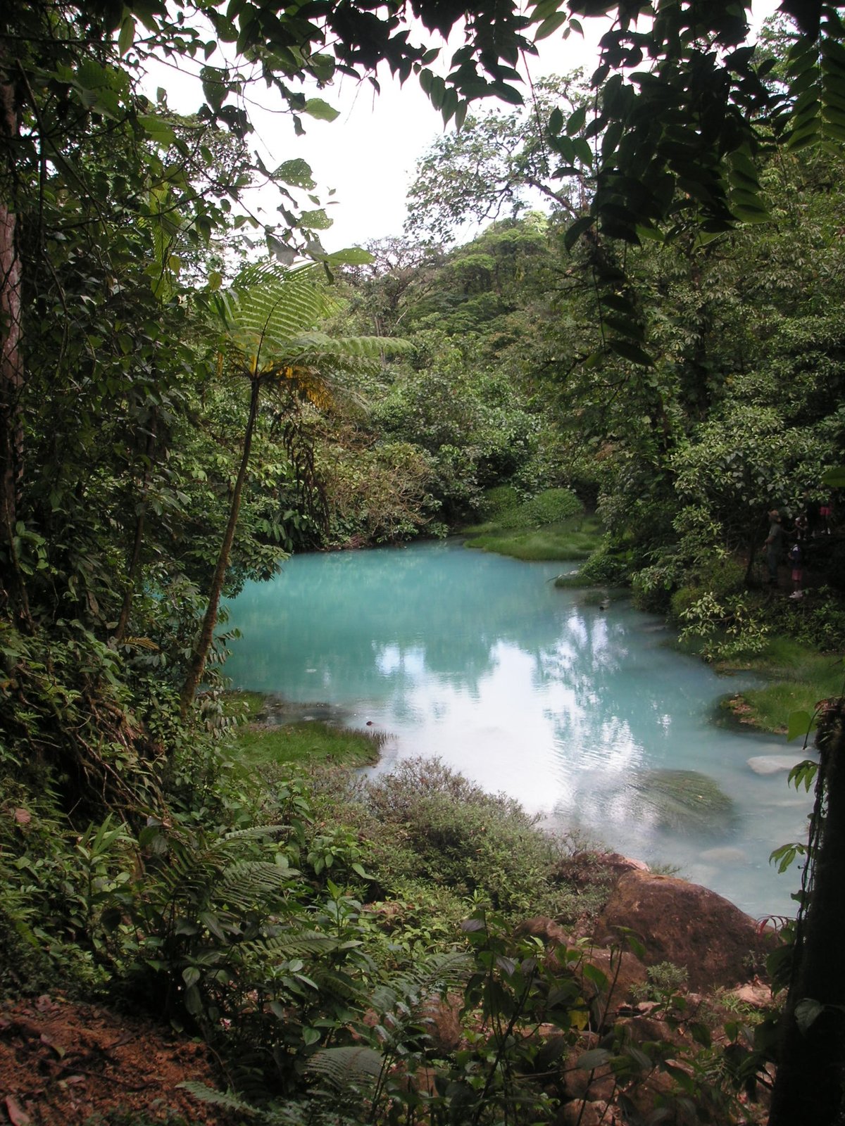 Tenorio Volcano National Park