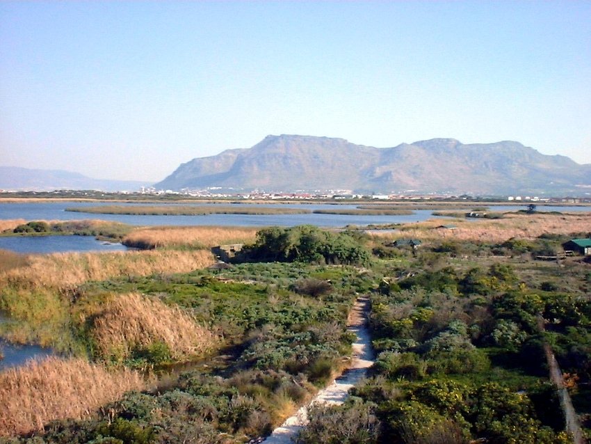 Rondevlei