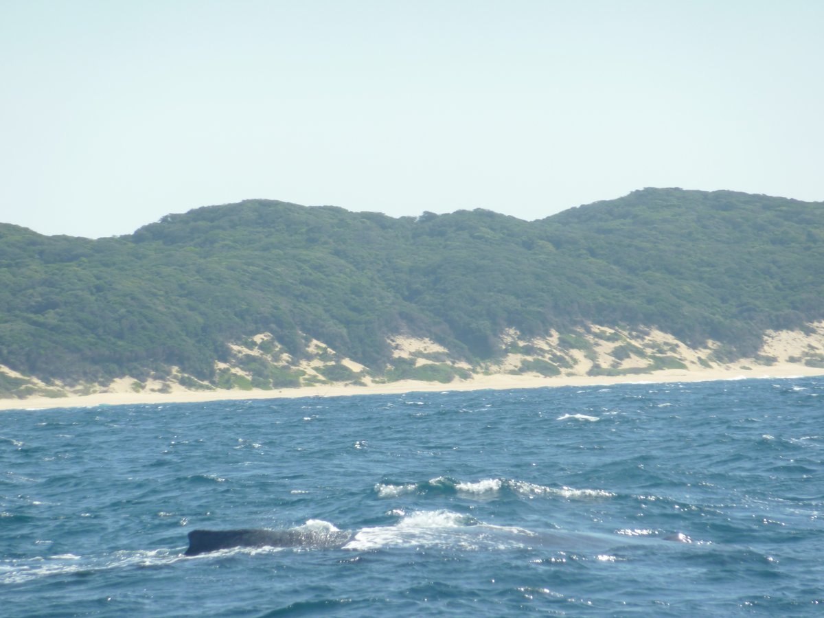Sodwana Bay National Park