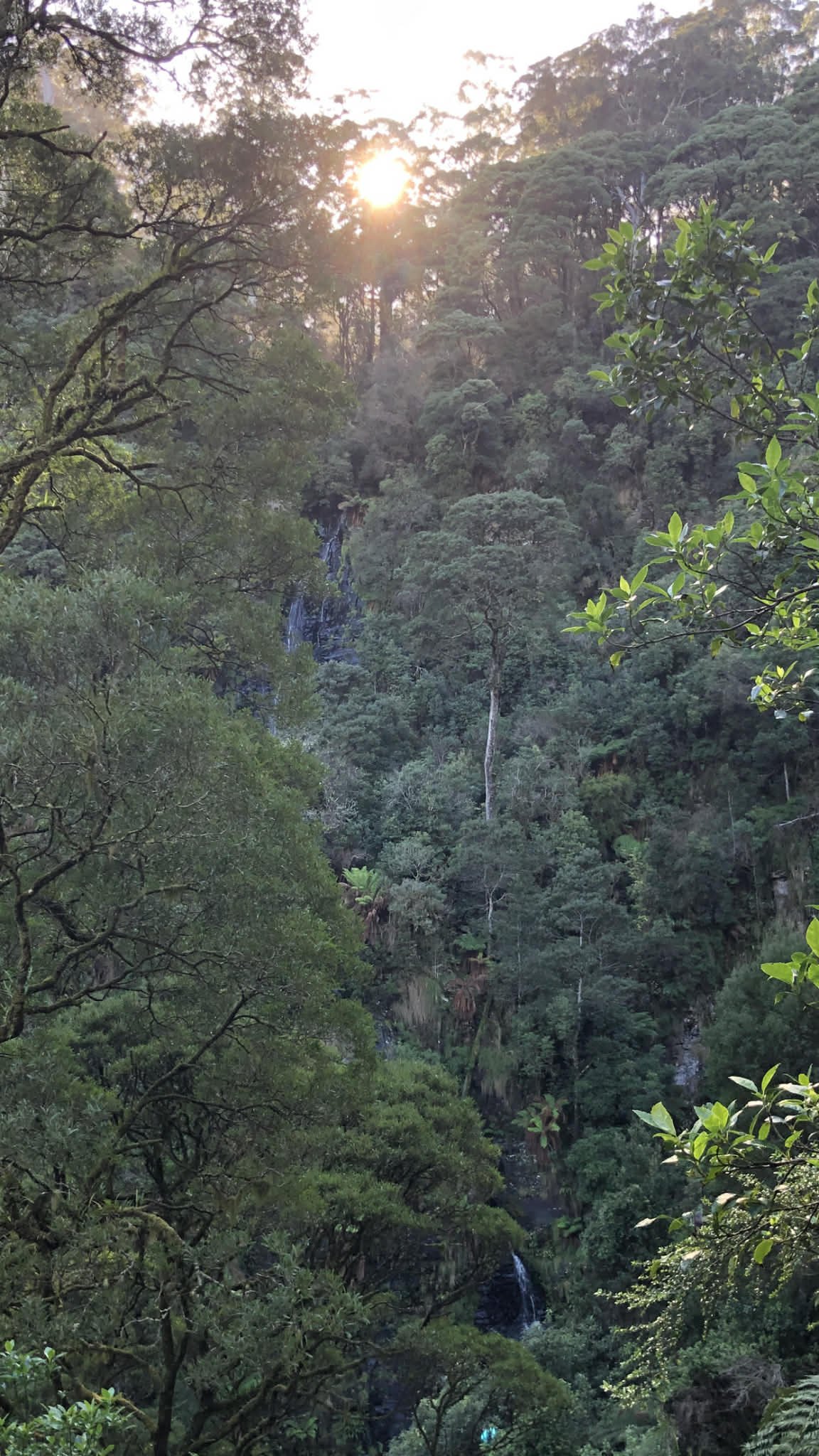 Sabine Falls